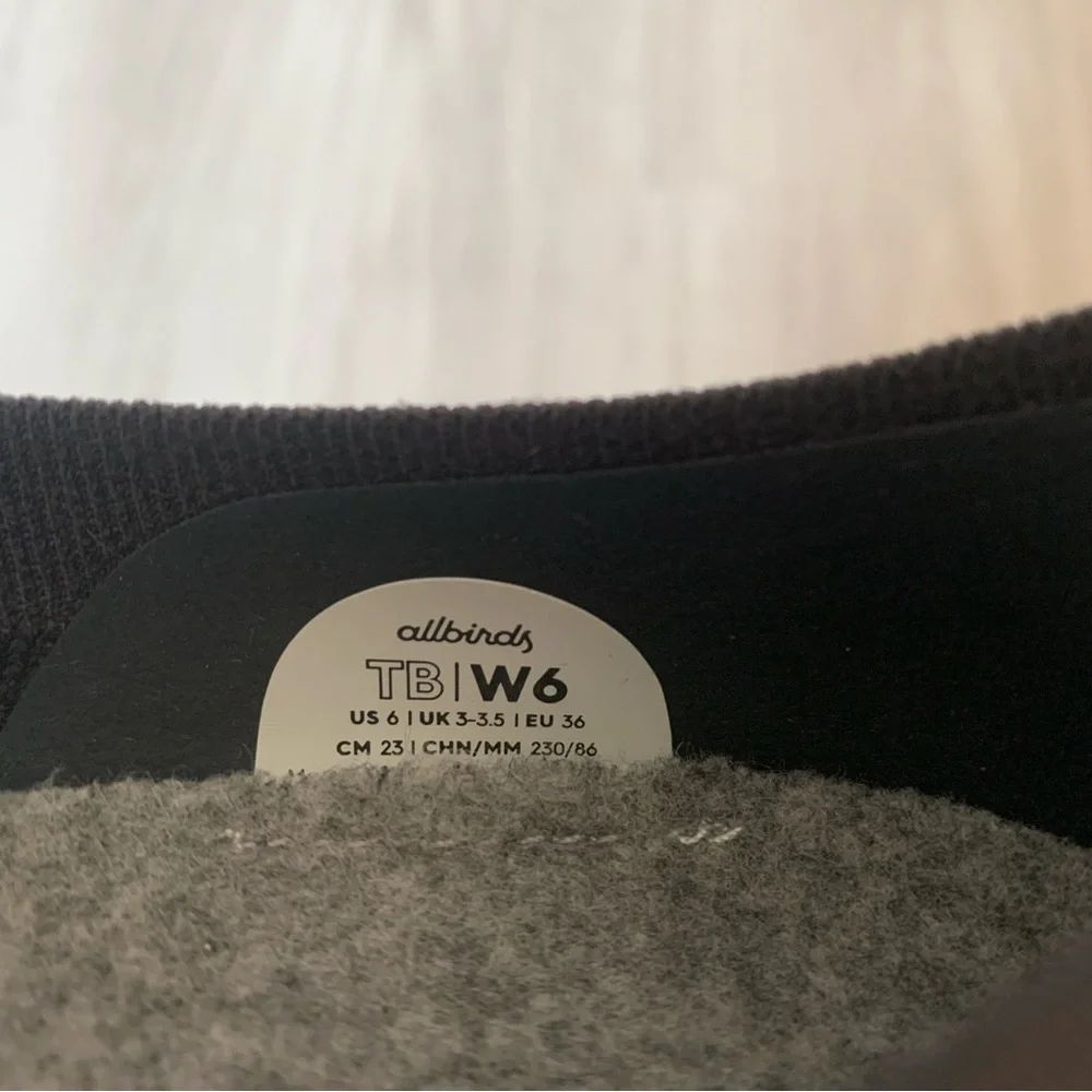 Allbirds Tree Breezers in Black